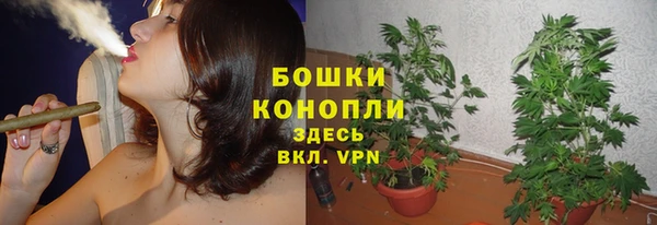 гидра Горнозаводск