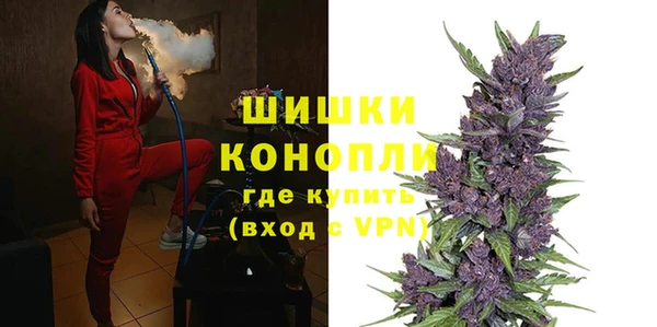 дживик Горняк