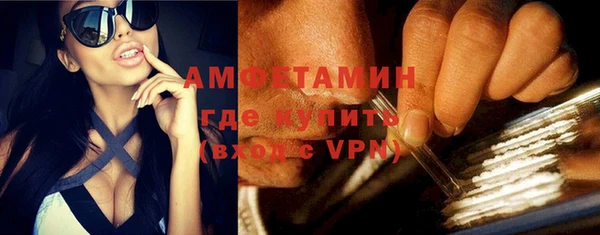 прущие грибы Чердынь