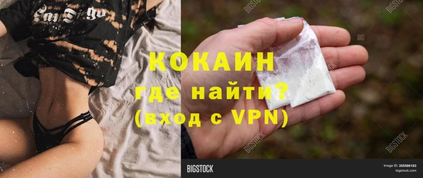 дживик Горняк
