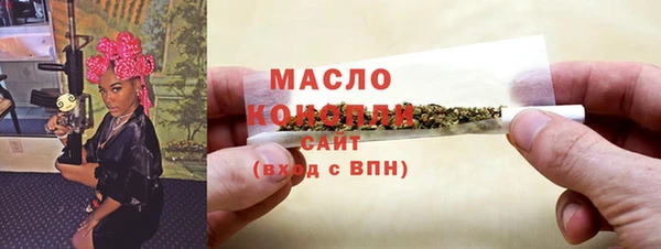 гидра Горнозаводск