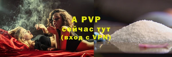 дживик Горняк