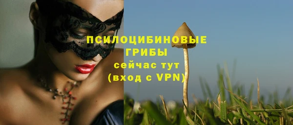 дживик Горняк