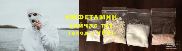 гидра Горнозаводск