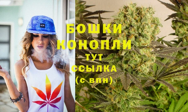 дживик Горняк