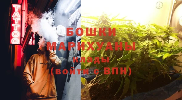 дживик Горняк