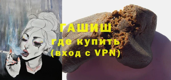 гидра Горнозаводск
