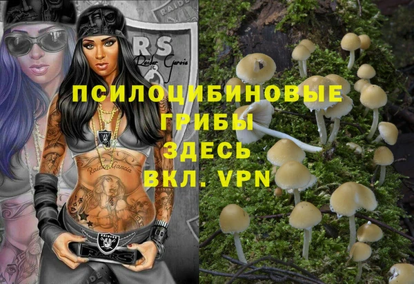 сатива Чегем