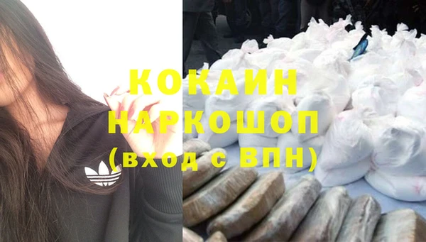 гидра Горнозаводск