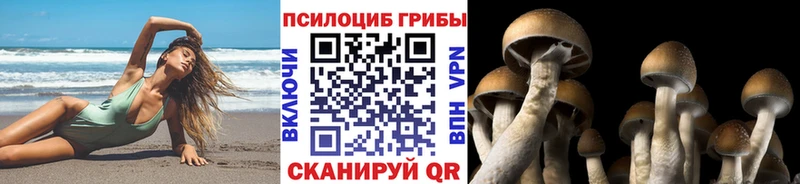 Псилоцибиновые грибы прущие грибы  Мончегорск 